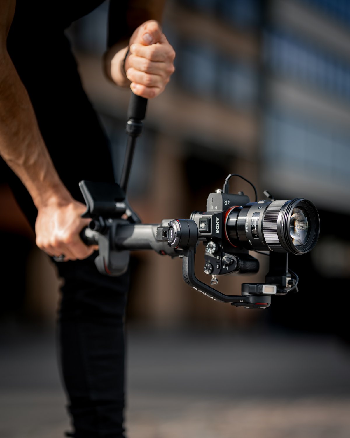 Gimbal gear photo